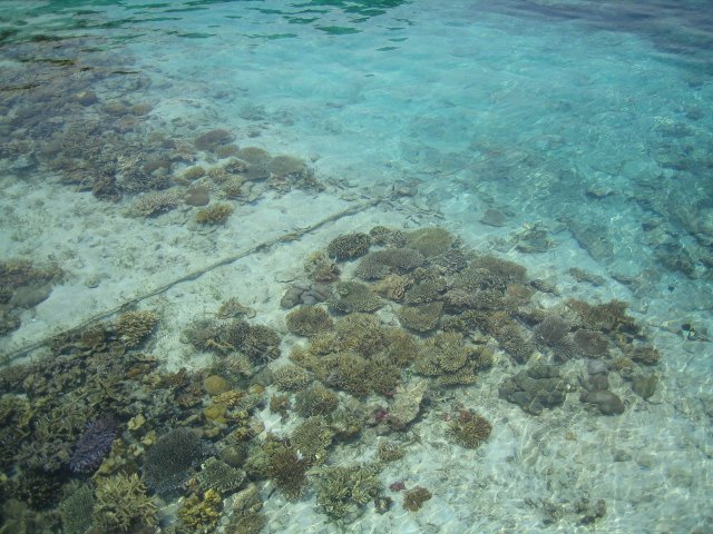プトゥリ島 プロススリブ