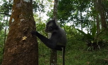 グヌンレウセル国立公園 ツアー