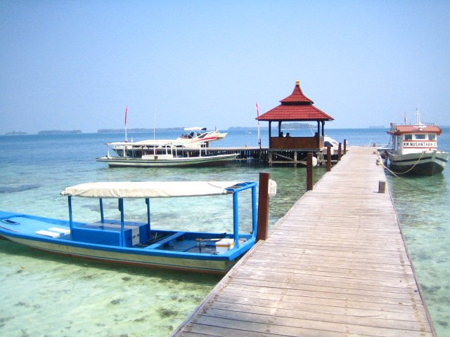 sepa