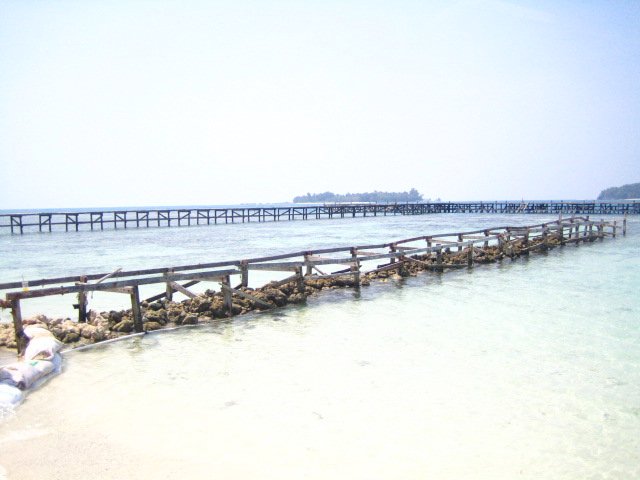 sepa