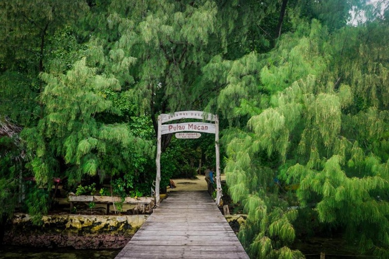 マチャン島 ツアー