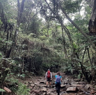 世界自然遺産 , ujungklong